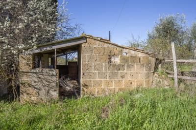 Montisi_Montalcino_farm_estate_for_sale--3-