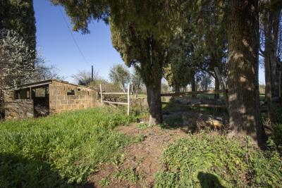 Montisi_Montalcino_farm_estate_for_sale--4-