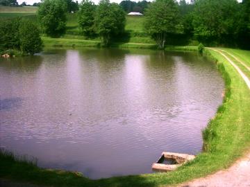 Local-Fishing-2-min-Walk-1