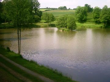 Local-Lake-2mins-Walk