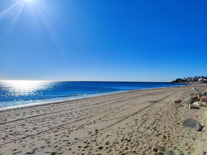 Image No.16-3 Bed Semi-Detached for sale