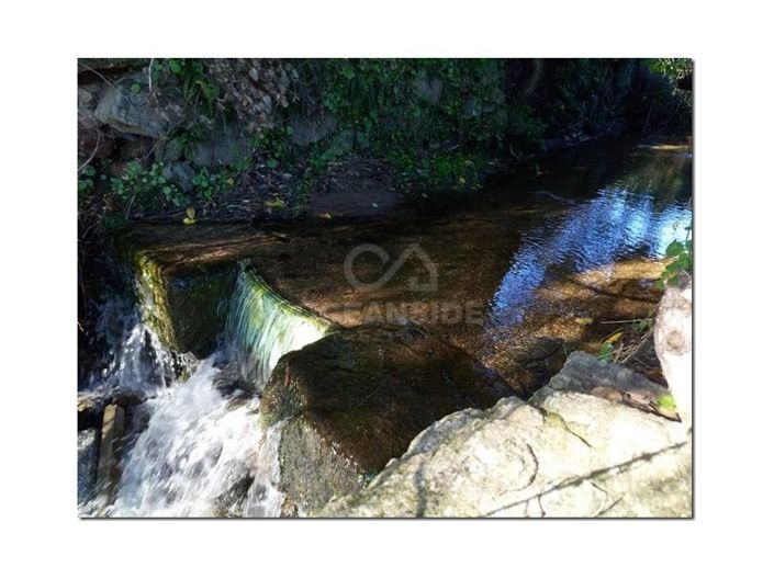 Image No.15-Ferme à vendre à Castelo Branco