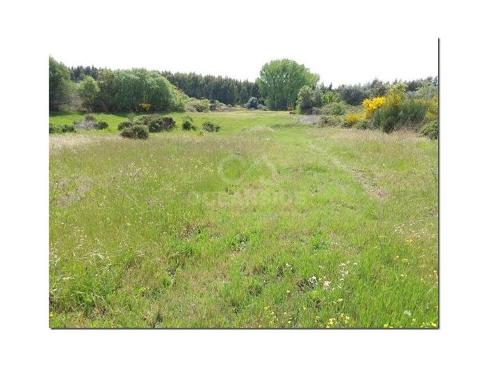 Image No.16-Ferme à vendre à Castelo Branco