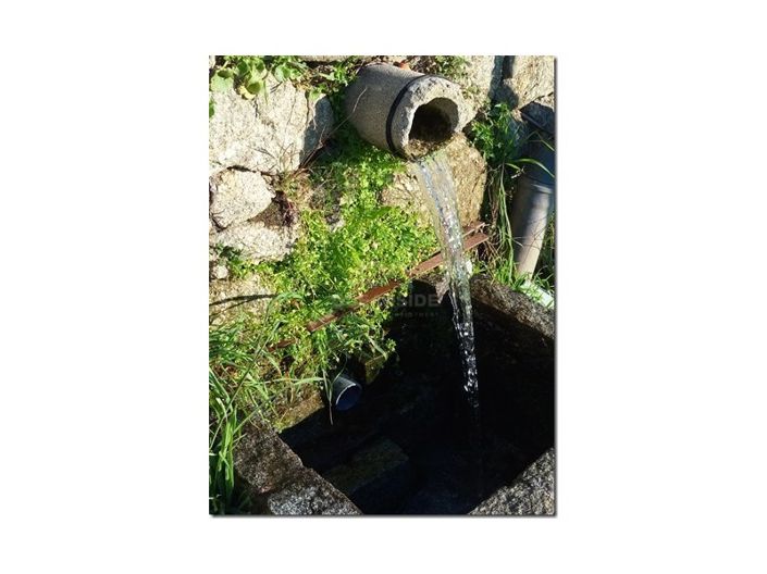 Image No.22-Ferme à vendre à Castelo Branco