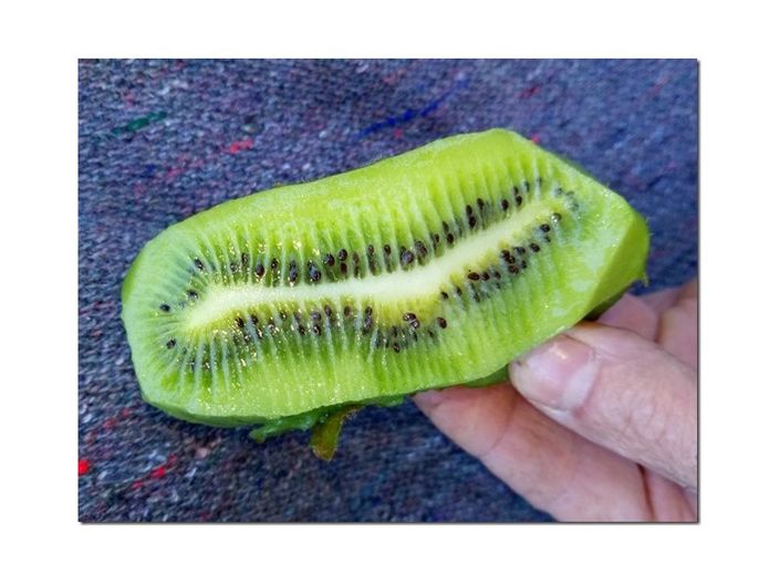 Image No.31-Ferme à vendre à Castelo Branco