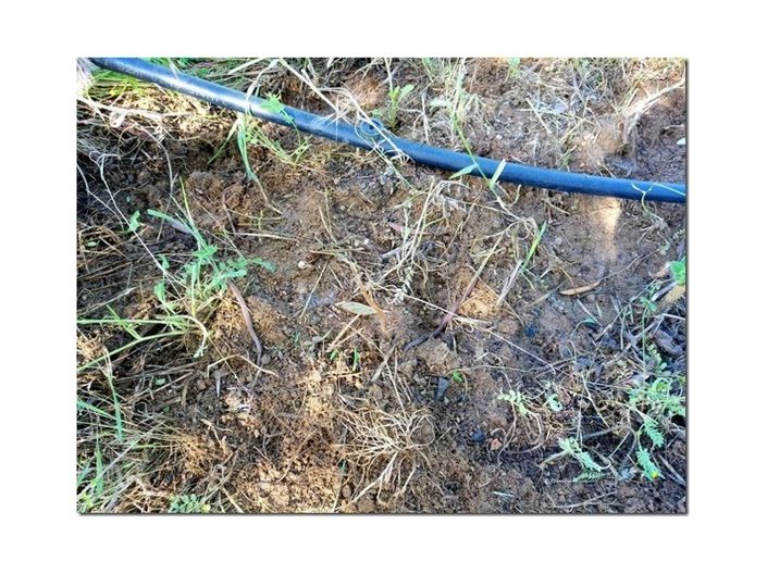 Image No.32-Ferme à vendre à Castelo Branco