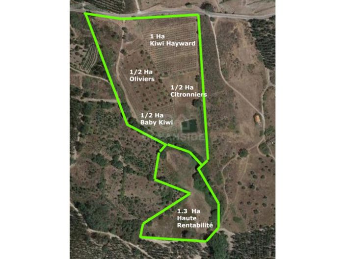 Image No.33-Ferme à vendre à Castelo Branco