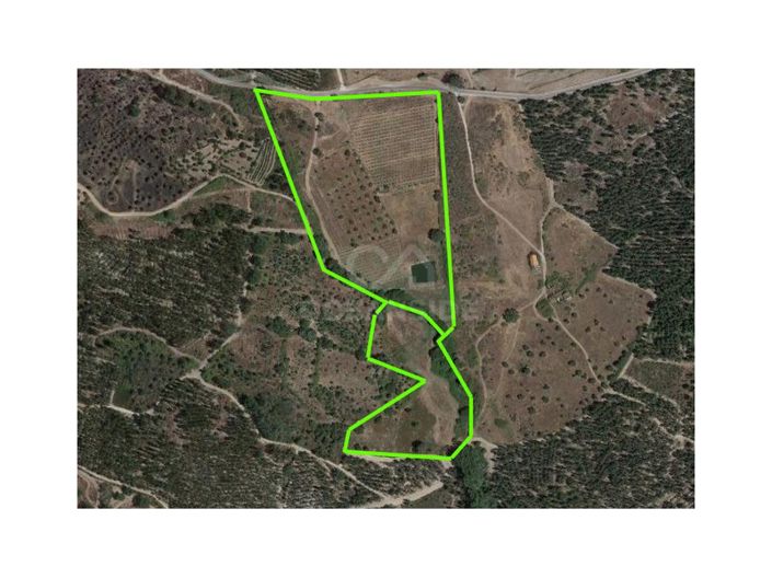 Image No.34-Ferme à vendre à Castelo Branco