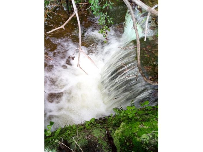 Image No.4-Ferme à vendre à Castelo Branco