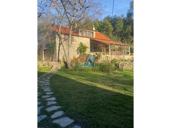 Image No.29-Maison de 5 chambres à vendre à Castelo Branco