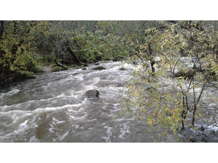 Image No.39-Maison de 5 chambres à vendre à Castelo Branco