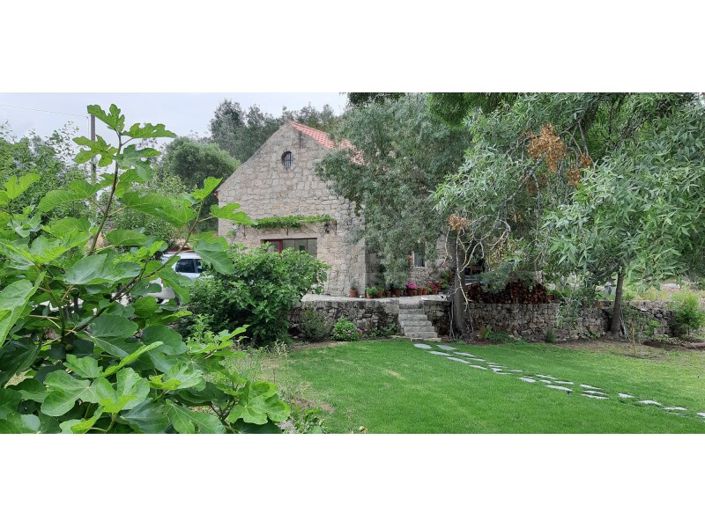 Image No.42-Maison de 5 chambres à vendre à Castelo Branco