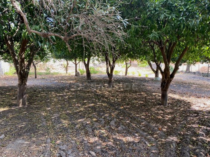 Image No.12-10 Bed House for sale