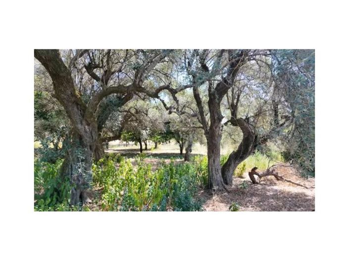 Image No.27-10 Bed House for sale