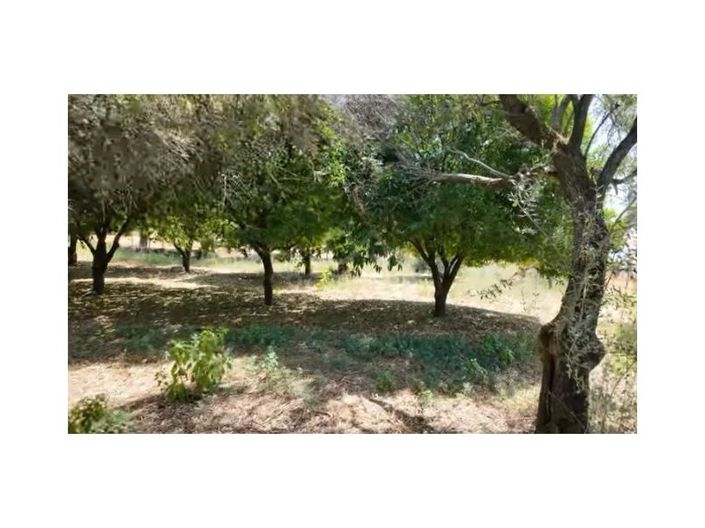 Image No.28-10 Bed House for sale