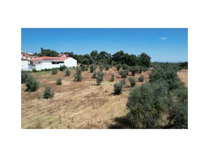 Image No.29-10 Bed House for sale