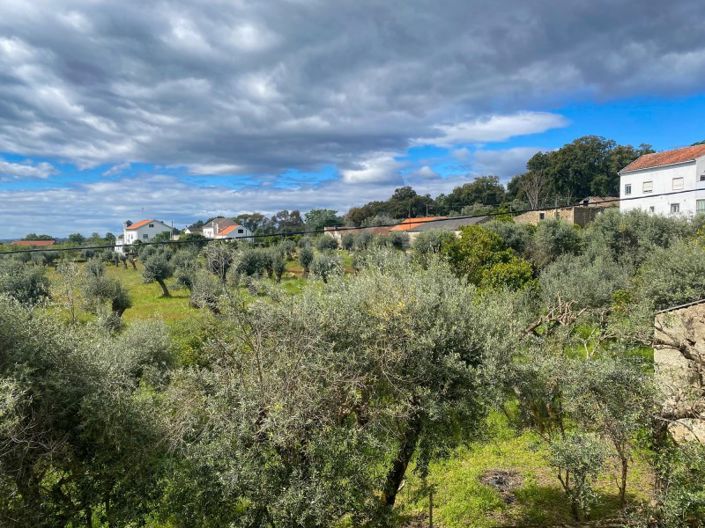 Image No.53-3 Bed House for sale