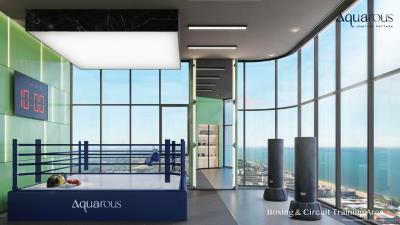 boxing-circuit_Easy-Resize-com