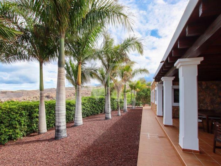 Image No.19-Finca de 3 chambres à vendre à Guia de Isora