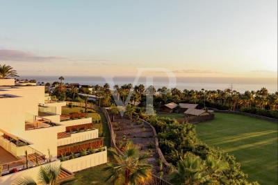 09517b21-c313-4aca-b591-3e175d473301_original