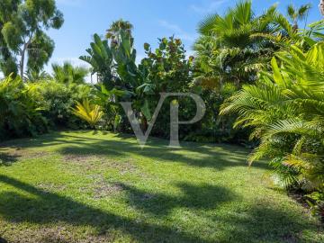 a58bce34-f9b7-47a3-b1c5-bb0a5dc1ec0b_original