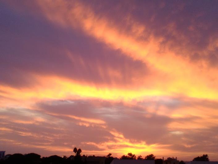 Image No.28-1 Bed Apartment for sale