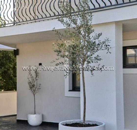 Image No.11-Villa de 8 chambres à vendre à Tivat