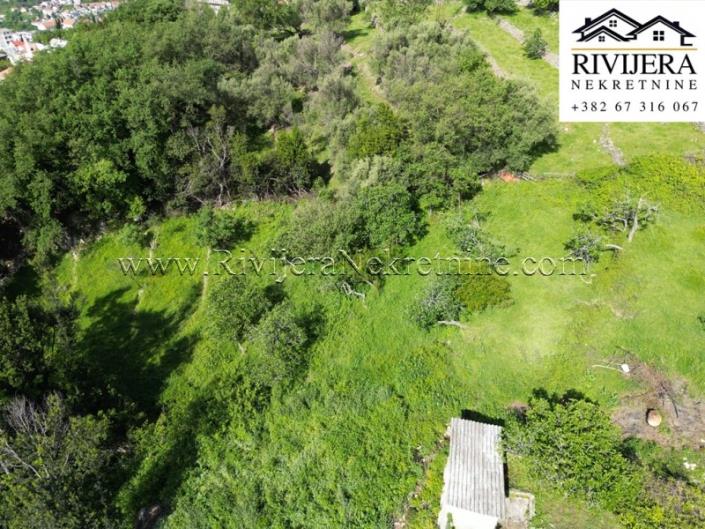 Image No.3-Terre à vendre à Herceg Novi