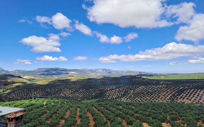 Image No.40-4 Bed House for sale