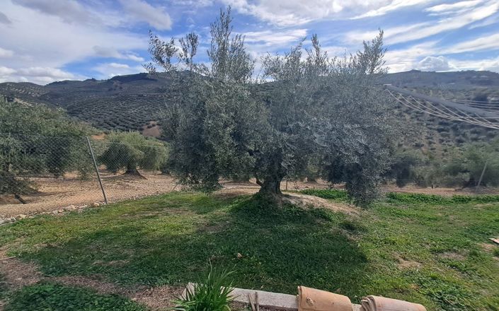 Image No.14-3 Bed House for sale