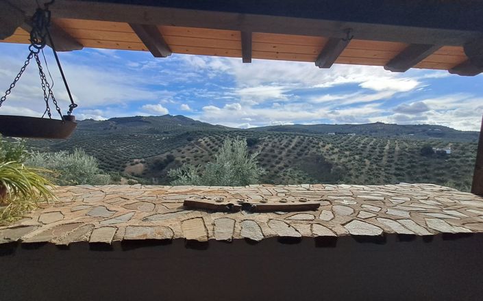 Image No.21-3 Bed House for sale