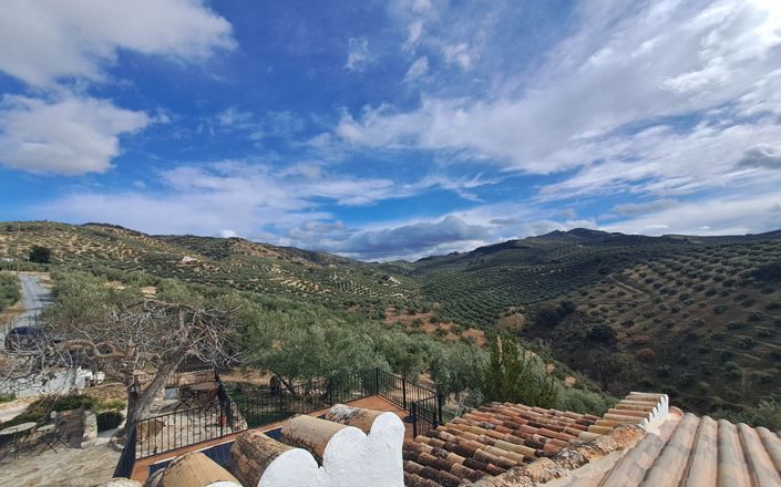 Image No.52-3 Bed House for sale