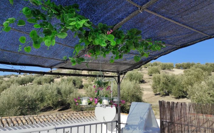 Image No.34-4 Bed House for sale