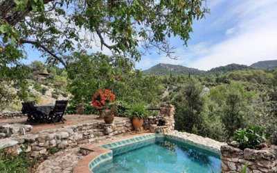 plungepool met terras