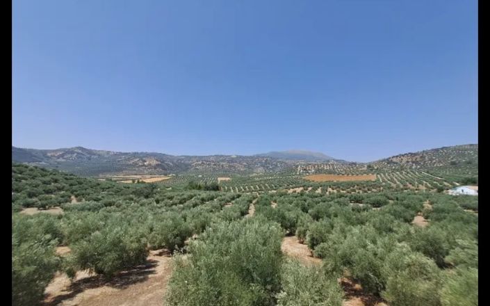 Image No.68-4 Bed House for sale