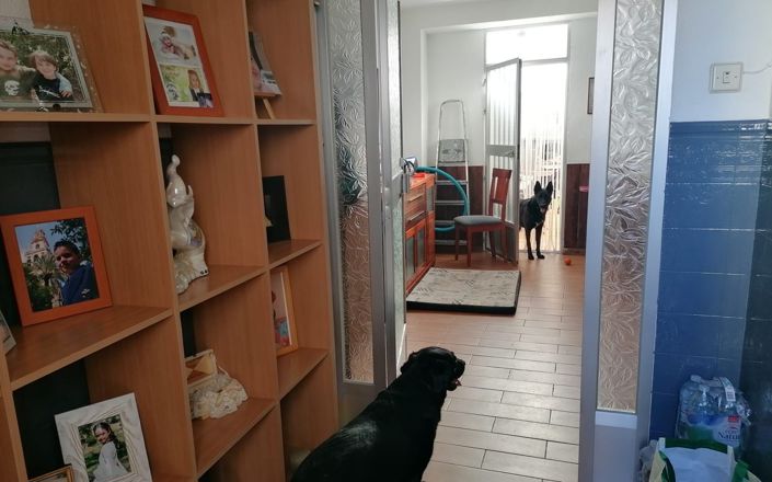 Image No.5-5 Bed House for sale