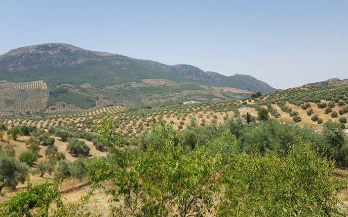 Image No.23-2 Bed House for sale