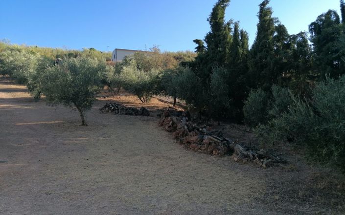 Image No.13-5 Bed House for sale