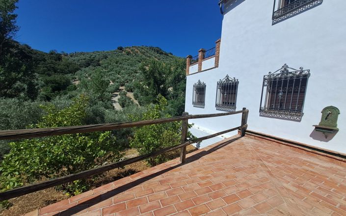 Image No.4-5 Bed House for sale