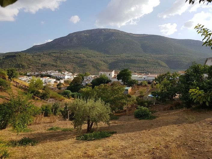 Image No.11-3 Bed House for sale