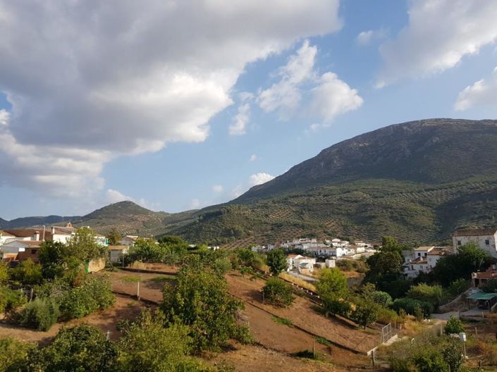 Image No.23-3 Bed House for sale