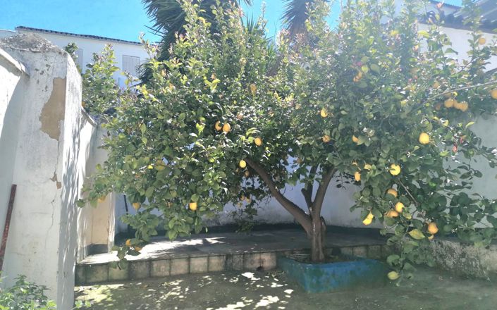 Image No.2-4 Bed House for sale