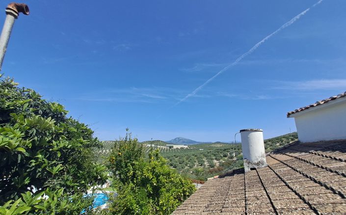 Image No.24-4 Bed House for sale