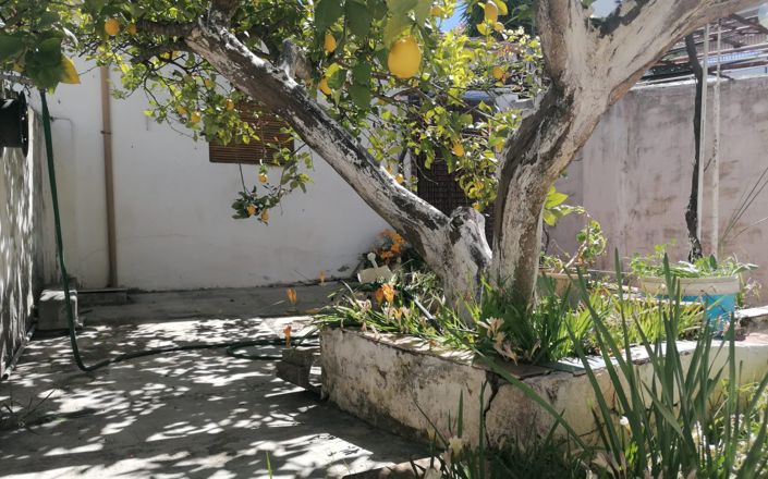 Image No.22-Maison de 5 chambres à vendre à Rute