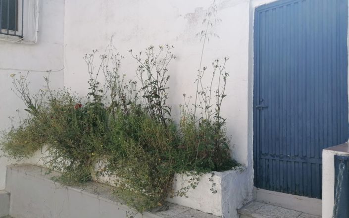 Image No.26-4 Bed House for sale