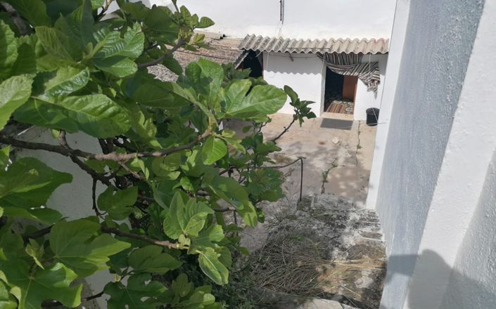 Image No.20-Maison de 3 chambres à vendre à Rute