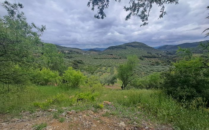 Image No.18-3 Bed House for sale