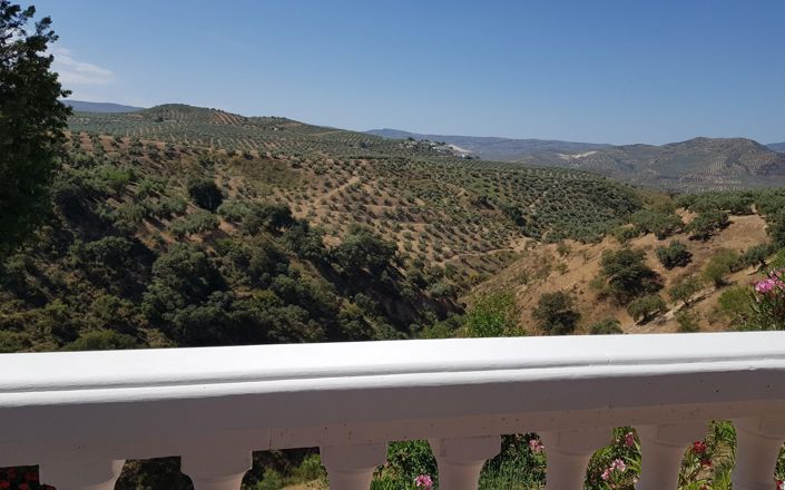 Image No.13-3 Bed House for sale