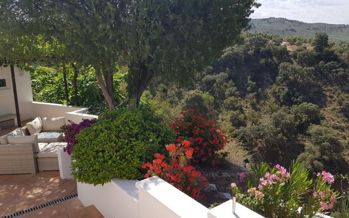 Image No.15-3 Bed House for sale