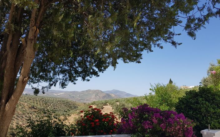 Image No.17-3 Bed House for sale